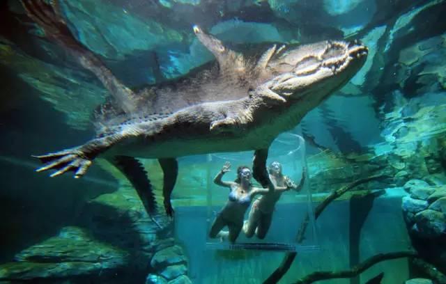 不用跑使馆 2月20日起澳洲访客签证可在线申请