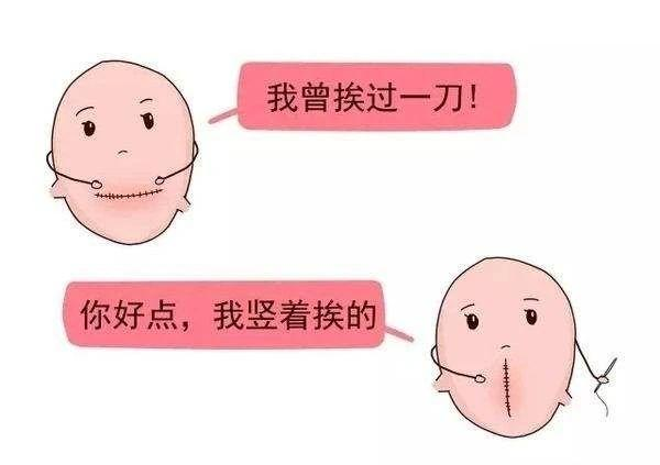 151073424.png