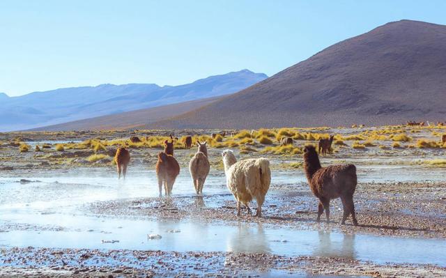 全世界最难签的国家开放落地签 无数人列为此生必去