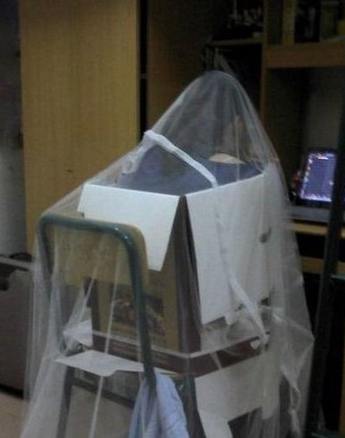 寝室挂画恶搞视频,寝室挂画恶搞视频大全