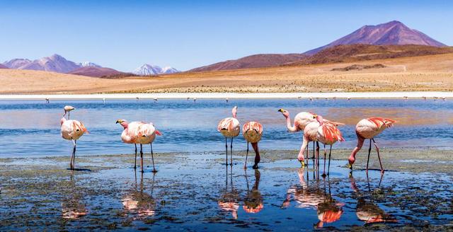 全世界最难签的国家开放落地签 无数人列为此生必去