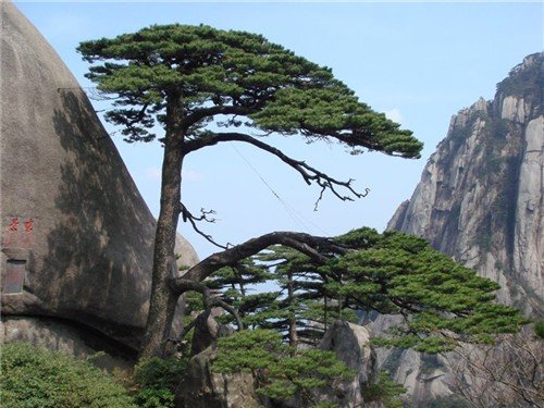 在古老的小镇上谈恋爱——中国四大古镇(图)_旅游频道_攻略_腾讯·大楚网