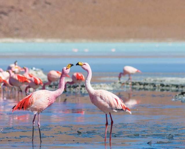 全世界最难签的国家开放落地签 无数人列为此生必去