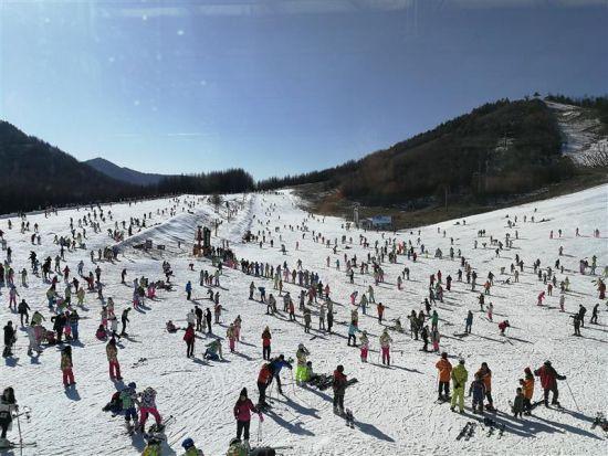 神农架大九湖景区首次向外地自驾游客开放