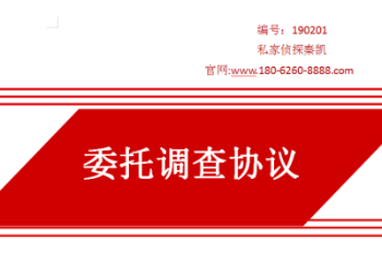 什么是调查公司 150890338.png