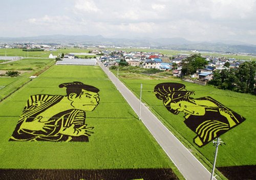 种田同样能赚广告费 如同艺术一般的农田 _旅