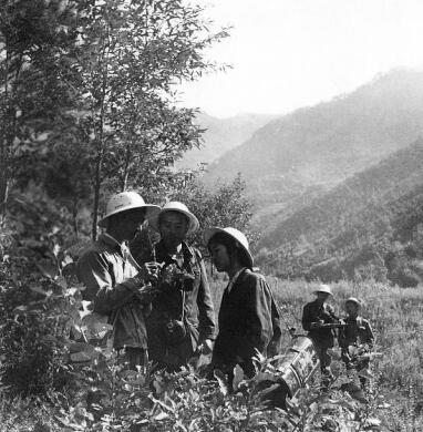 与植物学家同行 送你一个神秘又好玩的神农架