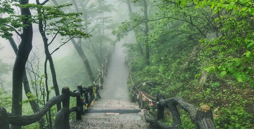 湖北这座世界级公园 一下雨就美成了仙境(图7)