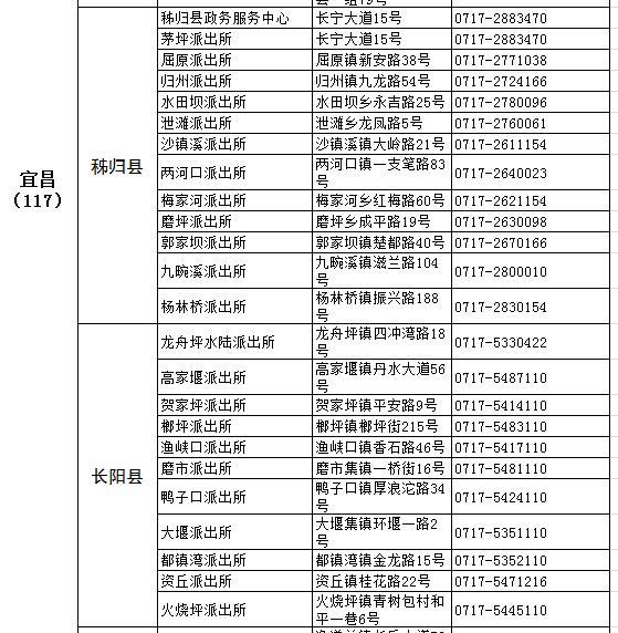 全国人口信息服务表_中国的人口(2)