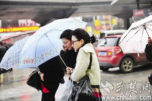 网友恶搞武汉天气预报 未来一月非阴即雨成真