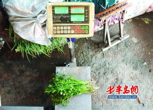 高温天,菜价噌噌涨