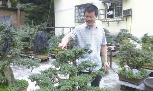 黄石5旬男子自掏数万绿化社区 义务植树300余棵