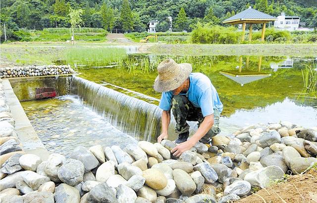 黄龙人工湿地日可净化污水3000吨