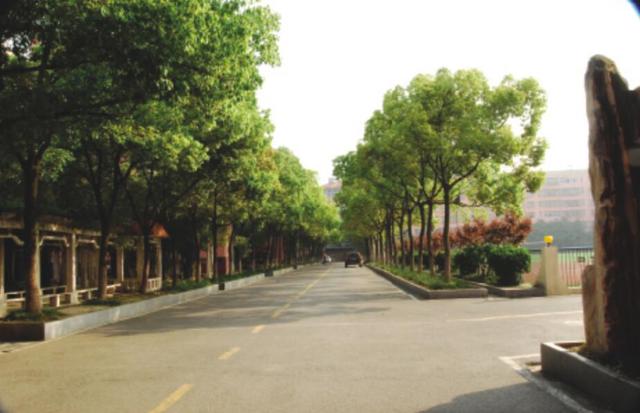 文明校园获得潜江市语句市级高中园林称号英语首届v文明高中生常用图片