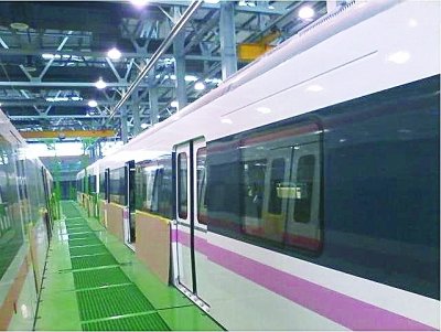武汉地铁2号线"粉色谍照"萌翻网友 实为梅花红