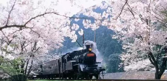 99%国人未体验过的日本独特铁路游