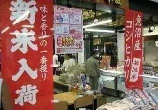海淘选择众多 为什么许多人偏偏独宠日本货