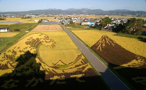 种田同样能赚广告费 如同艺术一般的农田 _旅