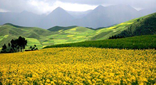 炎夏清凉之旅 相约中国十大避暑旅游城市