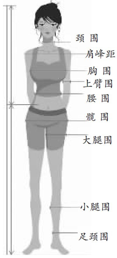 上,下身比例:以肚脐为界,上下身比例应为5:8,符合"黄金分割"定律.