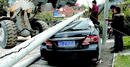 Cvetovi rastlin Cement in visi navzdol pred velikih tovornjakov hit avtomobilov jambor jambor