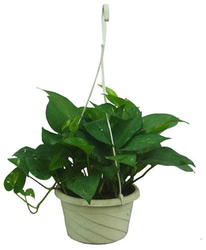 客厅风水四大难题 巧妙布局助你赶走霉运