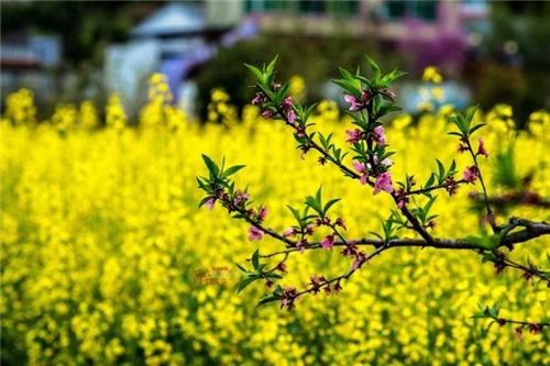 《向往的生活2》里不起眼的小县城 呆一年都不腻