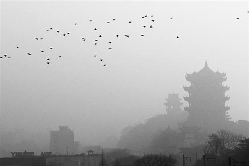 武汉将雾霾污染纳入应急预案 可提前3天预报