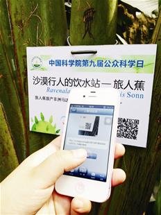 武汉首批植物烙上二维码电子游园时代将临