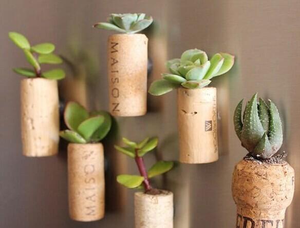 绿里奇迹 用创意盆栽打造花园居室