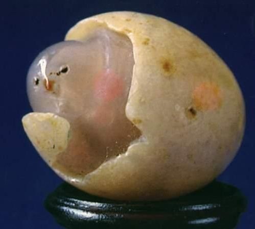 国宝奇石小鸡出壳玛瑙石估价1.3亿元