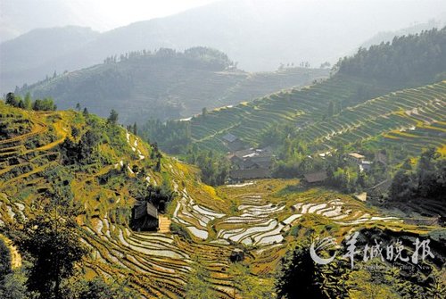 英德梯田风景区