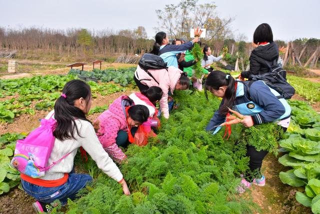 厉害了！紫薇都市田园再续辉煌获得2019年湖北省休闲农业示范点