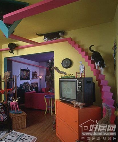 给猫一个充满宠物的家12个情趣家居创意设计有的北极人情趣特图片