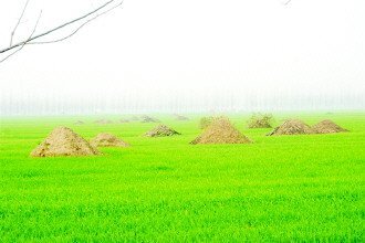 河南项城百人突击掘坟续:执法程序存多处疑点