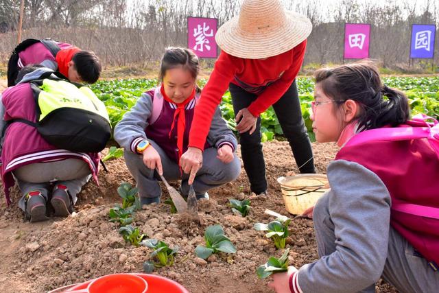 厉害了！紫薇都市田园再续辉煌获得2019年湖北省休闲农业示范点