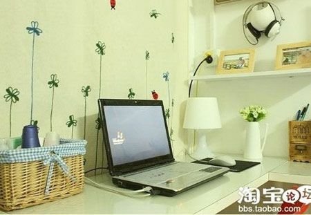 小夫妻装21平家 竹叶山城中村简约房只花三千