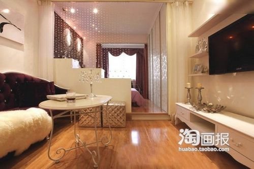 蜗居也能装出大感觉 40平小户型省钱也能奢华