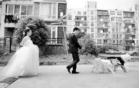 结婚时曾当"伴娘" 武汉女子盼丢失爱犬早日回家_新闻中心_社会新闻_腾讯·大楚网