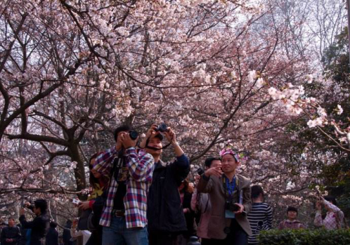 琅琊榜三杰蜡像巡展将在杜莎夫人蜡像馆拉开帷幕