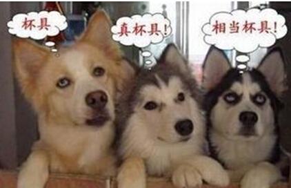 【楚牛士】你家的坟今天还好吗?