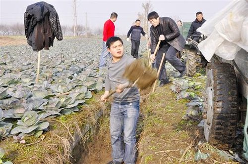 扎根农村 湖北大学生村官乡村收获事业爱情(图