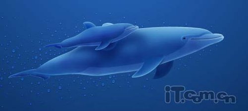Photoshop制作可爱的卡通海豚图片_腾讯·大
