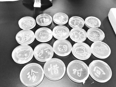 微生物学教师脑洞有点大 考题为用细菌作画