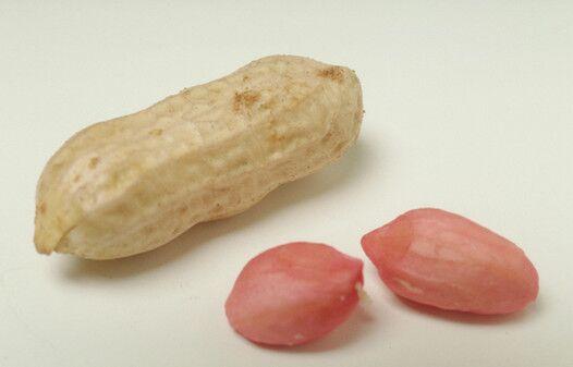 花生6种人不能吃的原因 119881135.jpg