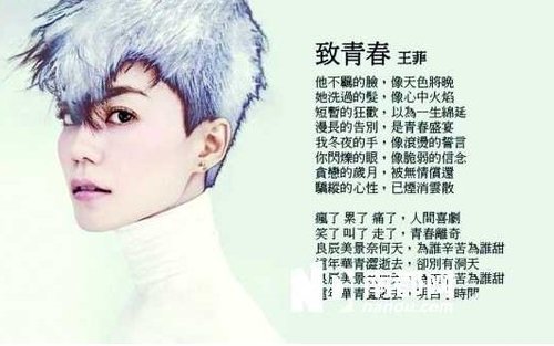 王菲献声《致青春》歌词曝光 赵薇发微博调侃