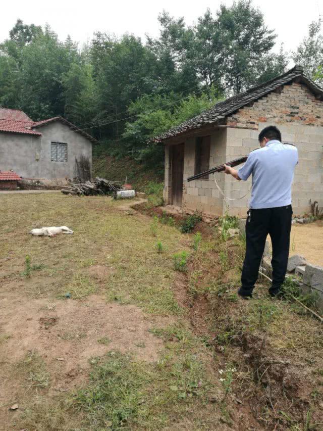 如何快点找到村庄 148474766.jpg