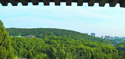 高楼破坏武大天际线美景 山体保护办法本月施行_大楚网_ - 极品思维2012社区