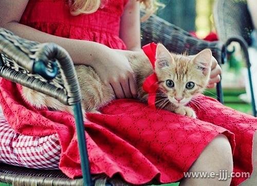 仲夏午茶时分 田园牧歌生活