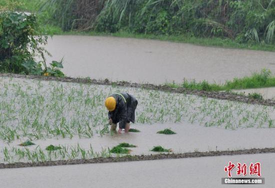 湖北等16省遭暴雨洪涝灾害 致23人死亡6人失